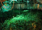 La Guardia Civil desmantela un laboratorio de marihuana