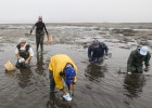 Los sectores del mar rechazan la futura ordenación del espacio marítimo con intereses acuícolas