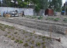 Madrid prueba en 176 hogares la recogida de basura orgánica