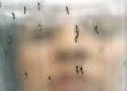 Sanidad confirma dos nuevos casos de virus del zika en embarazadas Sanidad confirma dos nuevos casos de virus del zika en embarazadas