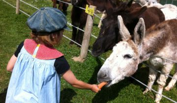 Una niña alimenta a uno de los animales de Burrolandia.