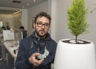 Morts que es converteixen en arbre