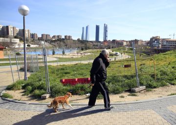 Carmena estudia crear un registro de ADN de mascotas para identificar las cacas abandonadas