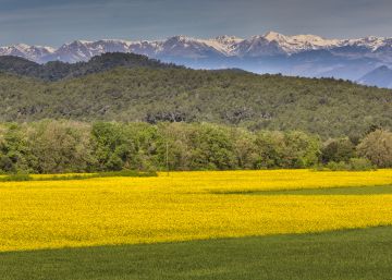 Les subvencions agràries tenyeixen Catalunya de groc