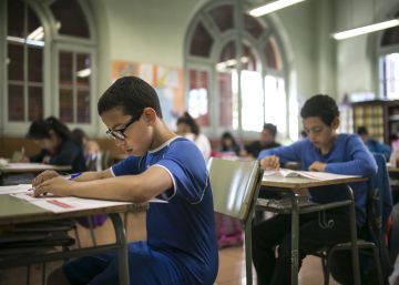 Perímetros, porcentajes y una pitón en las pruebas de sexto de primaria Perímetros, porcentajes y una pitón en las pruebas de sexto de primaria