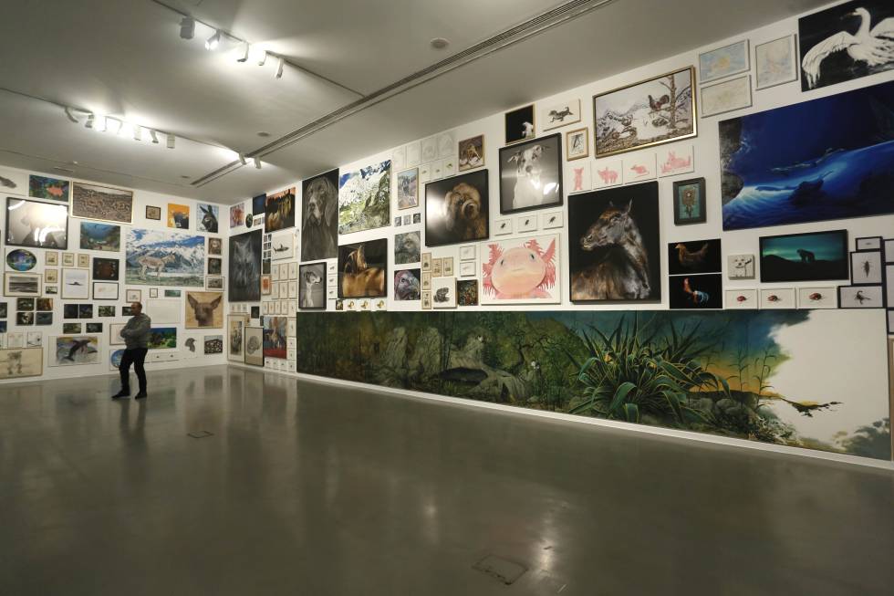 La exposición 'Capital Animal' en La Casa Encendida.