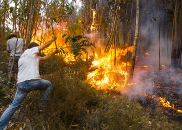 El vídeo de un vecino, ¿la prueba de un fuego intencionado? El vídeo de un vecino, ¿la prueba de un fuego intencionado?