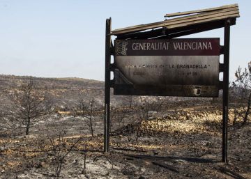 Los incendios de Alicante: 1.136 hectáreas quemadas Los incendios de Alicante: 1.136 hectáreas quemadas