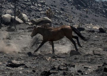 Viaje a la toponimia negra Viaje a la toponimia negra