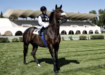 La larga galopada del Hipódromo