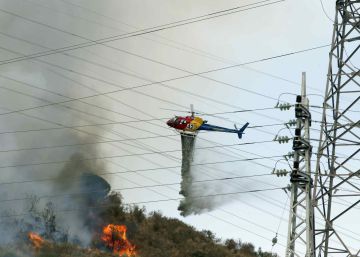 Un nuevo incendio quema ocho hectáreas en Collserola Un nuevo incendio quema ocho hectáreas en Collserola