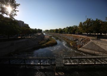 Cultura quiere que los remeros vuelvan al Manzanares