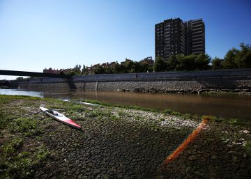Los remeros volverán al Manzanares antes del próximo verano
