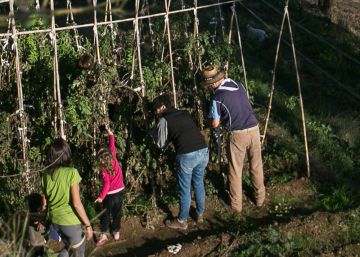 La lucha por la soberanía llega a la mesa La lucha por la soberanía llega a la mesa