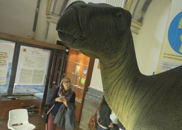 Hallan en Portell restos de dos dinosaurios de hace 130 millones de años Hallan en Portell restos de dos dinosaurios de hace 130 millones de años