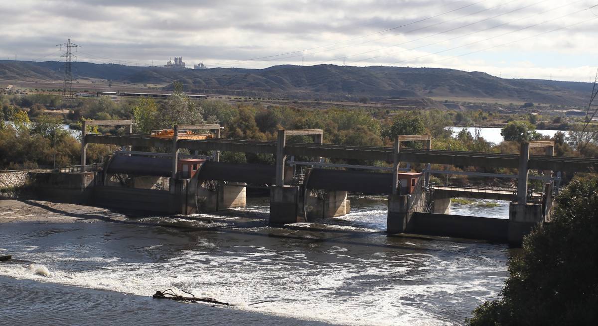 La Presa del Rey, sobre el r&iacute;o Jarama, cerca de San Mart&iacute;n de la Vega. 