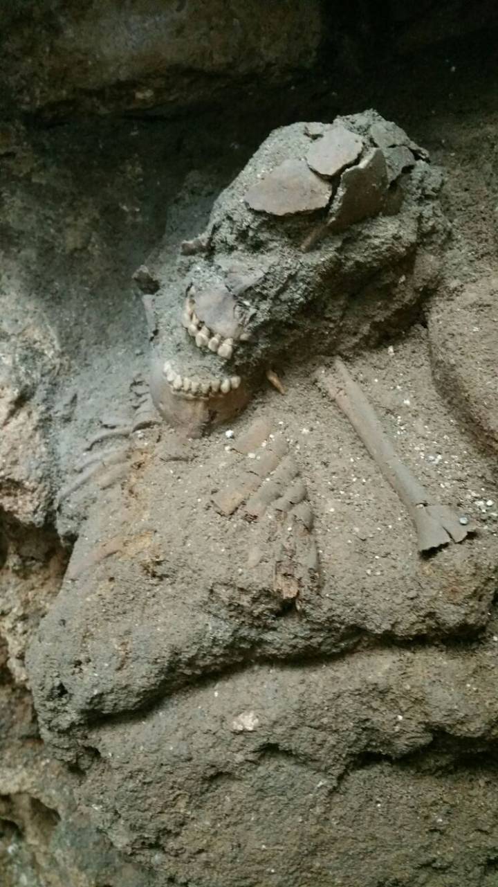 La excavación del barrio de la Ribera de Barcelona La excavación del barrio de la Ribera de Barcelona