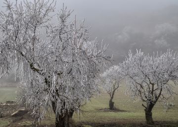 La boira de Lleida només ha deixat 31 hores de sol en tot el desembre
