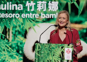 El PP retira preguntas del pleno para que Cifuentes asista al bautizo de un panda gigante en el zoo El PP retira preguntas del pleno para que Cifuentes asista al bautizo de un panda gigante en el zoo