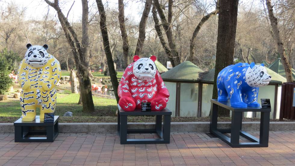 Coloridas esculturas de osos pandas instaladas en el Zoo.