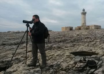 En busca del pájaro desconocido En busca del pájaro desconocido
