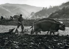 Memoria de los fugaos