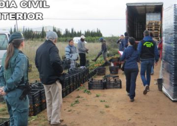 Tres detenidos por robar 150.000 kilos de naranjas en Valencia Tres detenidos por robar 150.000 kilos de naranjas en Valencia