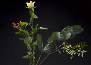 La fórmula de la inmortalidad La fórmula de la inmortalidad