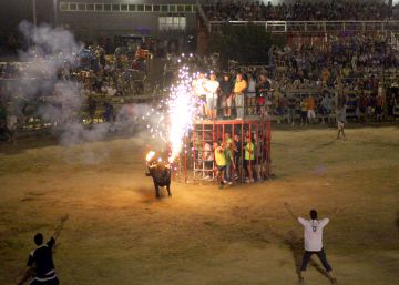 Els animalistes centren en els bous embolats la seva lluita contra el maltractament