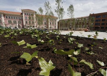 El nuevo oasis de Malasaña El nuevo oasis de Malasaña