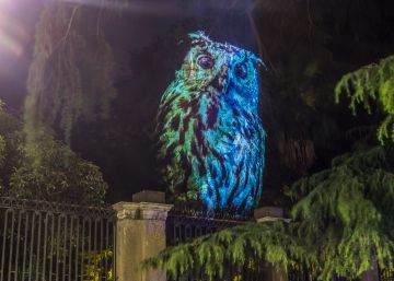 Cuentos africanos y un búho gigante Cuentos africanos y un búho gigante