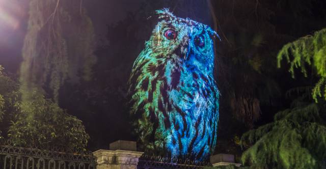 Proyección en el Real Jardín Botánico.