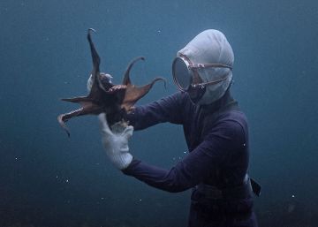 Cine de mujeres contra las barreras invisibles