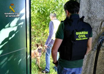 Golpe policial a la delincuencia juvenil con 13 detenidos en Pontevedra Golpe policial a la delincuencia juvenil con 13 detenidos en Pontevedra
