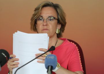 El PSOE permitirá la reprobación de Mato y Mayer en el pleno de Madrid El PSOE permitirá la reprobación de Mato y Mayer en el pleno de Madrid