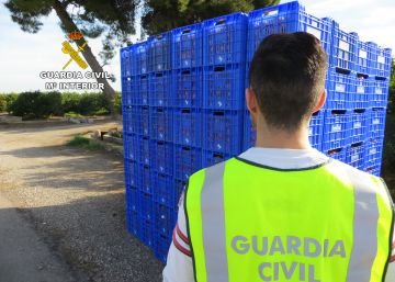 La Guardia Civil detiene a 23 personas por robar más de 300.000 kilos de naranjas La Guardia Civil detiene a 23 personas por robar más de 300.000 kilos de naranjas