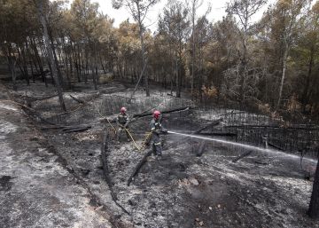 Controlado el incendio de la Calderona tras arder cerca de 1.300 hectáreas