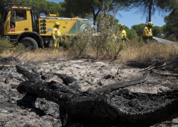 Savia propone un encuentro de todos los implicados en la política forestal
