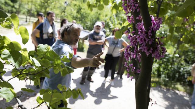 Una de las visitas botánicas a la Casa de Campo.