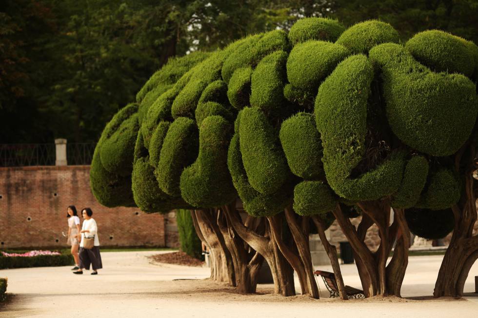 Unos visitantes en el Parterre, el jardín afrancesado del parque madrileño.