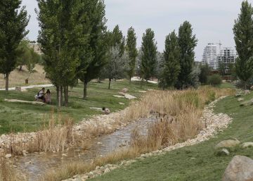 Un oasis al final de la Castellana