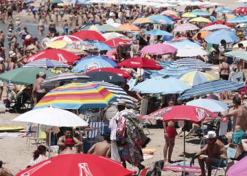 El paro bajó el 0,8% en julio y se redujo en 3.371 desempleados El paro bajó el 0,8% en julio y se redujo en 3.371 desempleados