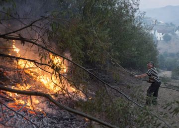 La conselleira de Medio Rural dice que el incendio de Verín fue “intencionado” La conselleira de Medio Rural dice que el incendio de Verín fue “intencionado”