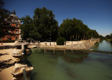 El laberinto verde de Aranjuez