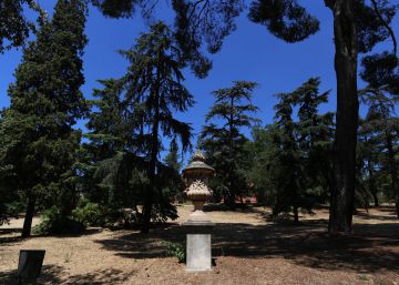El tesoro verde de Canillejas