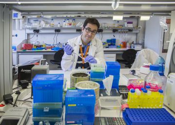 “En Estados Unidos vieron que para salir adelante tenían que invertir más en investigación” “En Estados Unidos vieron que para salir adelante tenían que invertir más en investigación”