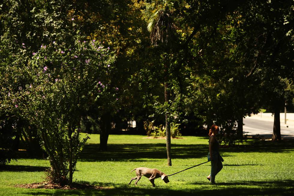 Una chica paseando a su perro por el Parque del Oeste, que tiene unas 100 hectáreas de extensión.