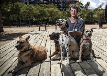 “Prefiero la compañía de los perros a la de las personas”