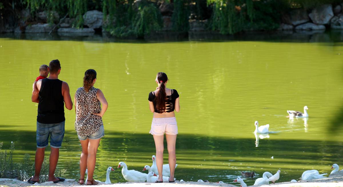 El lago del parque forestal de El Soto de Móstoles, este domingo.