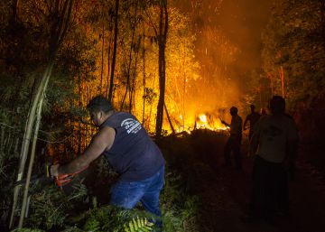 Detenido un incendiario por causar 16 fuegos en Pontevedra y A Coruña Detenido un incendiario por causar 16 fuegos en Pontevedra y A Coruña